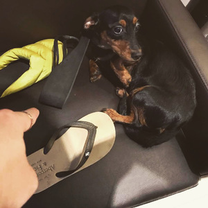 荷兰妓女大白屁股
